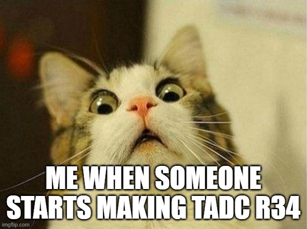 oh no no no no no | ME WHEN SOMEONE STARTS MAKING TADC R34 | image tagged in memes,surprised cat,tadc | made w/ Imgflip meme maker