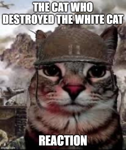1000 yard stare cat | THE CAT WHO DESTROYED THE WHITE CAT REACTION | image tagged in 1000 yard stare cat | made w/ Imgflip meme maker