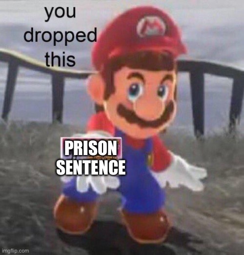 Mario You dropped this | PRISON SENTENCE | image tagged in mario you dropped this | made w/ Imgflip meme maker