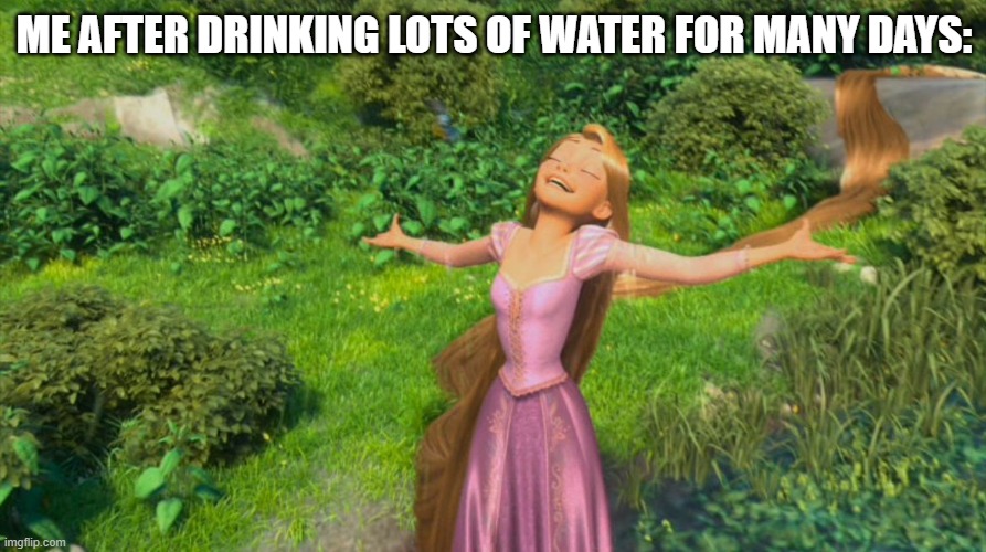Rapunzel Tangled | ME AFTER DRINKING LOTS OF WATER FOR MANY DAYS: | image tagged in rapunzel tangled | made w/ Imgflip meme maker