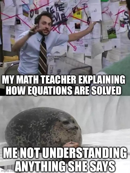 Man explaining to seal | MY MATH TEACHER EXPLAINING HOW EQUATIONS ARE SOLVED; ME NOT UNDERSTANDING ANYTHING SHE SAYS | image tagged in man explaining to seal | made w/ Imgflip meme maker