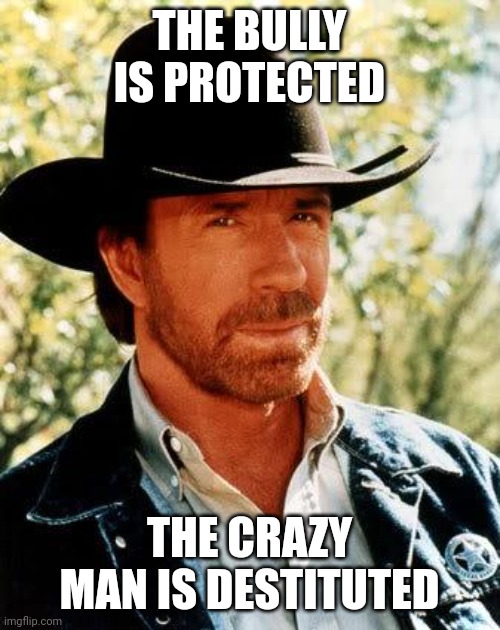destitute | THE BULLY IS PROTECTED; THE CRAZY MAN IS DESTITUTED | image tagged in memes,chuck norris | made w/ Imgflip meme maker