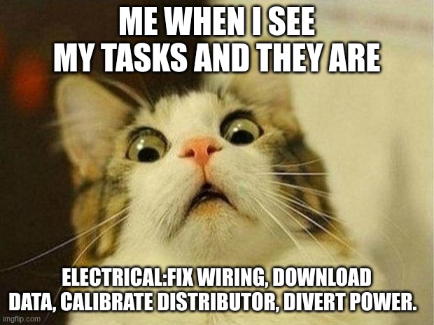 only real players understand | ME WHEN I SEE MY TASKS AND THEY ARE; ELECTRICAL:FIX WIRING, DOWNLOAD DATA, CALIBRATE DISTRIBUTOR, DIVERT POWER. | image tagged in memes,scared cat | made w/ Imgflip meme maker