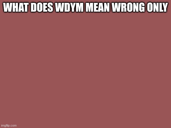 MHM | WHAT DOES WDYM MEAN WRONG ONLY | image tagged in funny | made w/ Imgflip meme maker