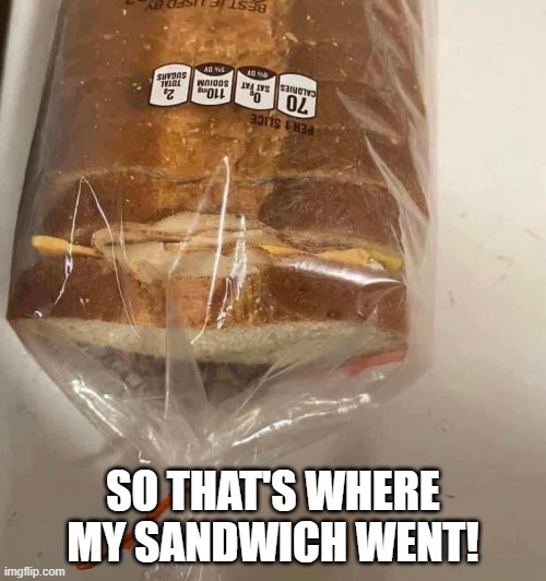 Lost Sandwich | SO THAT'S WHERE MY SANDWICH WENT! | image tagged in sandwich | made w/ Imgflip meme maker