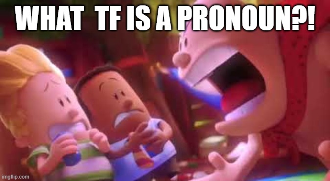 Captain Underpants Scream | WHAT  TF IS A PRONOUN?! | image tagged in captain underpants scream | made w/ Imgflip meme maker