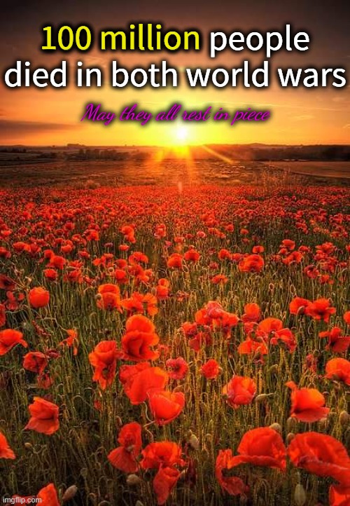 Poppy Field Lest We Forget | 100 million people died in both world wars May they all rest in piece 100 million | image tagged in poppy field lest we forget | made w/ Imgflip meme maker