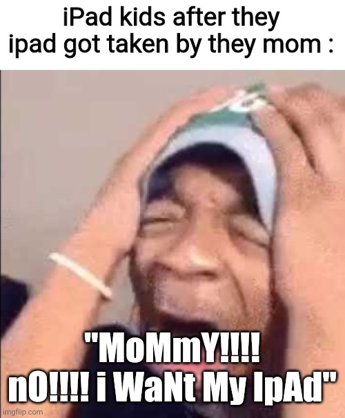 Why? | iPad kids after they ipad got taken by they mom :; "MoMmY!!!! nO!!!! i WaNt My IpAd" | image tagged in flightreacts crying,ipad kids,gen alpha | made w/ Imgflip meme maker
