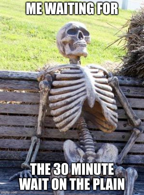 Waiting Skeleton | ME WAITING FOR; THE 30 MINUTE WAIT ON THE PLAIN | image tagged in memes,waiting skeleton | made w/ Imgflip meme maker