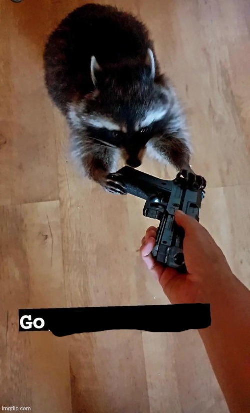 Go, do a crime | image tagged in go do a crime | made w/ Imgflip meme maker