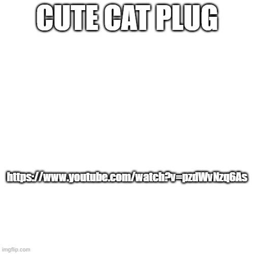 CUTE CAT PLUG; https://www.youtube.com/watch?v=pzdWvNzq6As | made w/ Imgflip meme maker