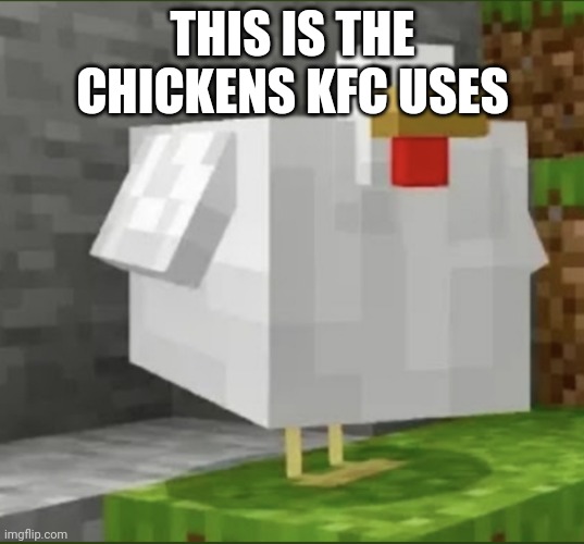 Cursed chicken | THIS IS THE CHICKENS KFC USES | image tagged in cursed chicken | made w/ Imgflip meme maker