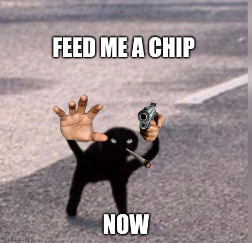 da chip cat | FEED ME A CHIP; NOW | image tagged in cursed cat | made w/ Imgflip meme maker