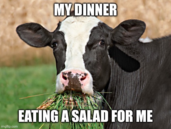 No salad for me | MY DINNER; EATING A SALAD FOR ME | image tagged in cow eat grass | made w/ Imgflip meme maker