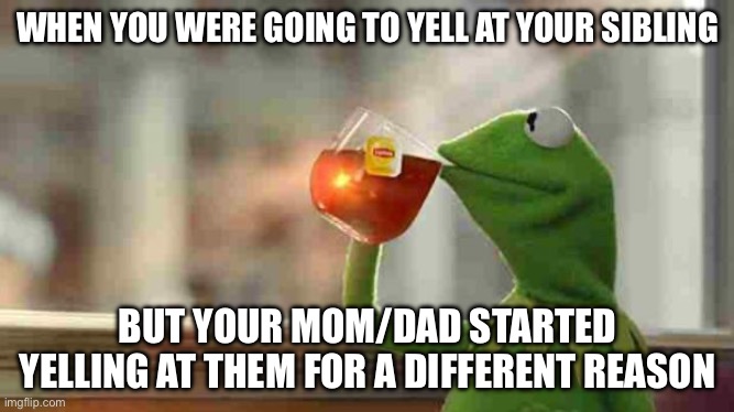 Well well, none of my business | WHEN YOU WERE GOING TO YELL AT YOUR SIBLING; BUT YOUR MOM/DAD STARTED YELLING AT THEM FOR A DIFFERENT REASON | image tagged in kermit sipping tea | made w/ Imgflip meme maker