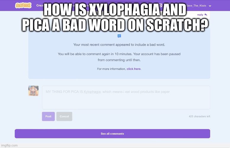 Why the hell would THEY DO THAT?!?! (Tf? - Spiral) | HOW IS XYLOPHAGIA AND PICA A BAD WORD ON SCRATCH? | image tagged in bruh | made w/ Imgflip meme maker