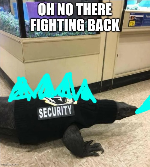 OH NO THERE FIGHTING BACK | image tagged in cute,lizard | made w/ Imgflip meme maker