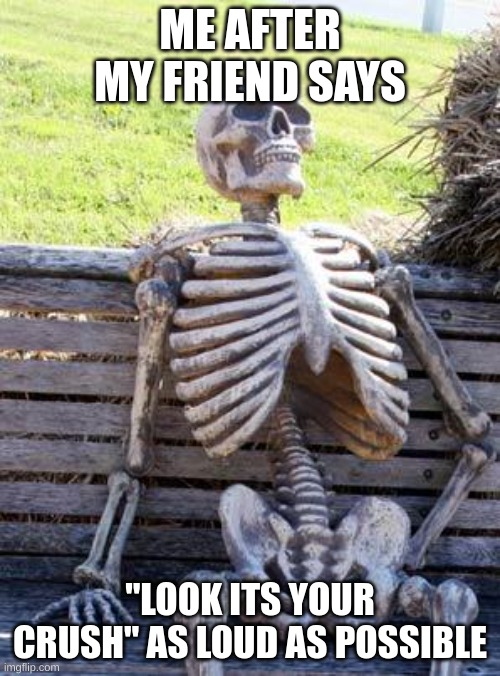 That one friend | ME AFTER MY FRIEND SAYS; "LOOK ITS YOUR CRUSH" AS LOUD AS POSSIBLE | image tagged in memes,waiting skeleton,funny | made w/ Imgflip meme maker