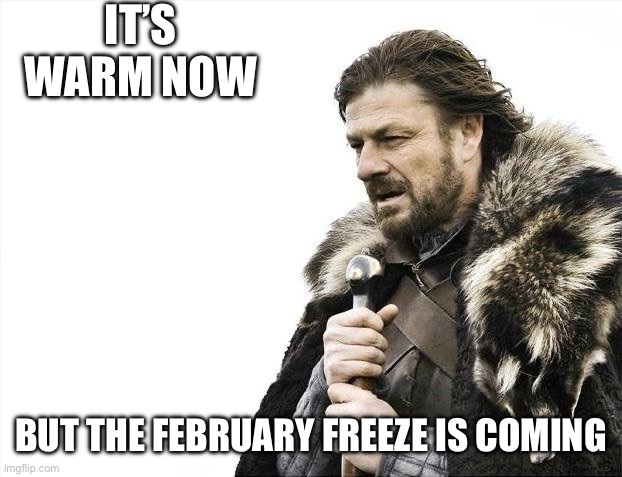 Brace Yourselves X is Coming Meme | IT’S WARM NOW; BUT THE FEBRUARY FREEZE IS COMING | image tagged in brace yourselves x is coming,funny memes,winter is coming,february,puppies and kittens | made w/ Imgflip meme maker