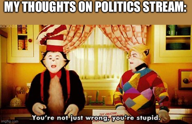 You're not just wrong, you're stupid. | MY THOUGHTS ON POLITICS STREAM: | image tagged in you're not just wrong you're stupid | made w/ Imgflip meme maker
