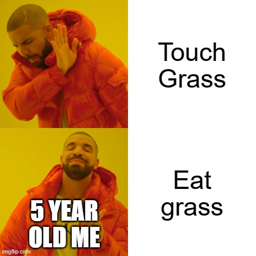 Drake Hotline Bling Meme | Touch Grass; Eat grass; 5 YEAR OLD ME | image tagged in memes,drake hotline bling | made w/ Imgflip meme maker
