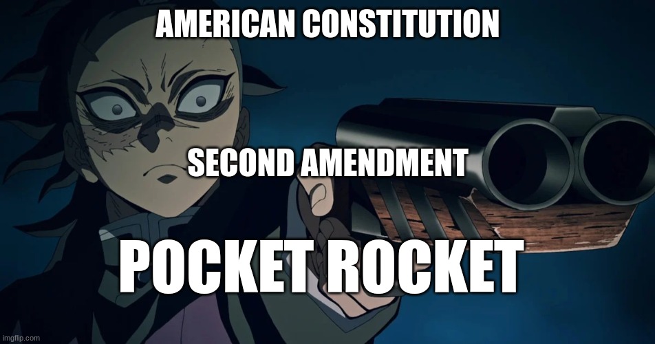 genya gun | AMERICAN CONSTITUTION; SECOND AMENDMENT; POCKET ROCKET | image tagged in genya gun | made w/ Imgflip meme maker
