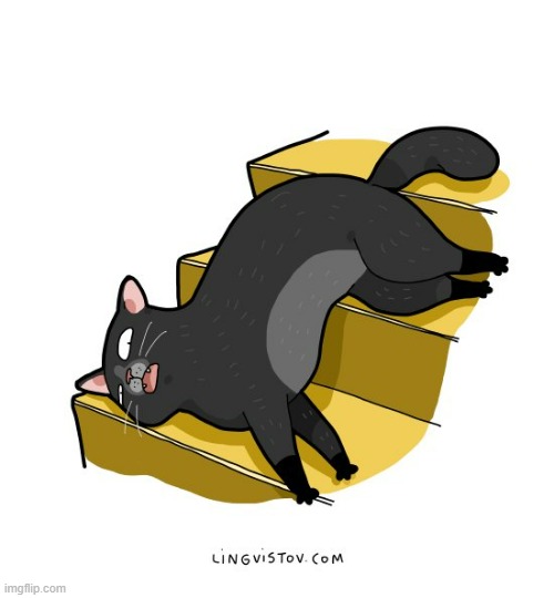 A Cat's Way Of Thinking | image tagged in memes,comics/cartoons,cats,stairs,lays,what | made w/ Imgflip meme maker