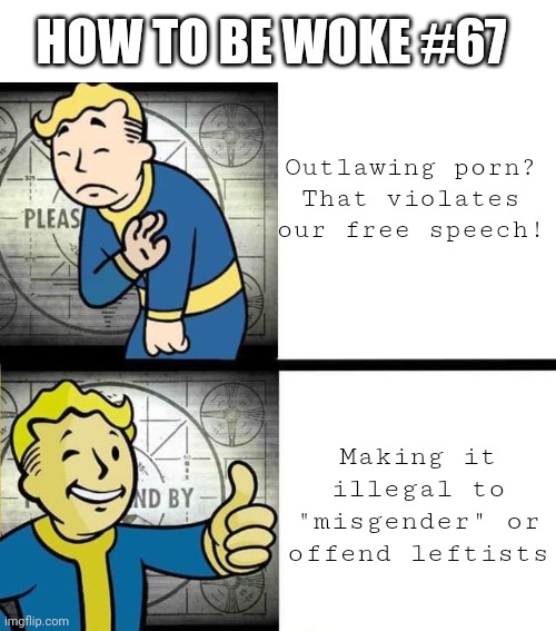 A different take on the first amendment | HOW TO BE WOKE #67; Outlawing porn?
That violates our free speech! Making it illegal to "misgender" or offend leftists | image tagged in fallout drake | made w/ Imgflip meme maker