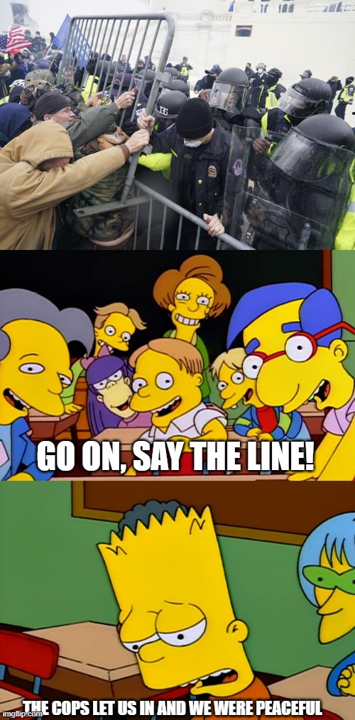 Jan 6 Peaceful | GO ON, SAY THE LINE! THE COPS LET US IN AND WE WERE PEACEFUL | image tagged in jan 6,the simpsons | made w/ Imgflip meme maker
