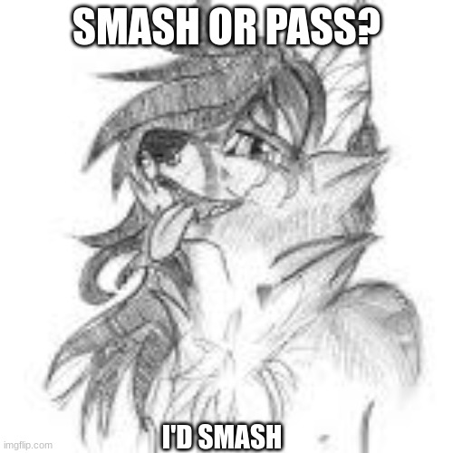 Smash or Pass? | SMASH OR PASS? I'D SMASH | image tagged in smash or pass,hot wolf | made w/ Imgflip meme maker