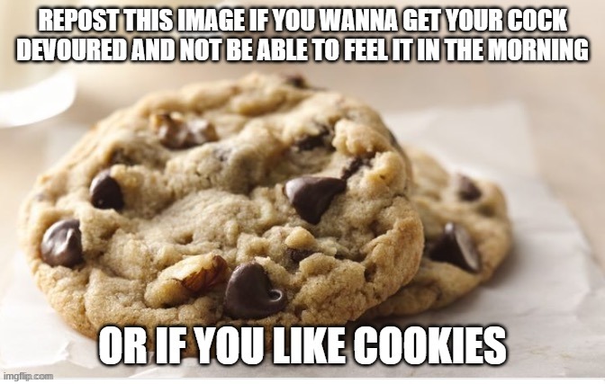 homemade choclate chip ROCKS | made w/ Imgflip meme maker