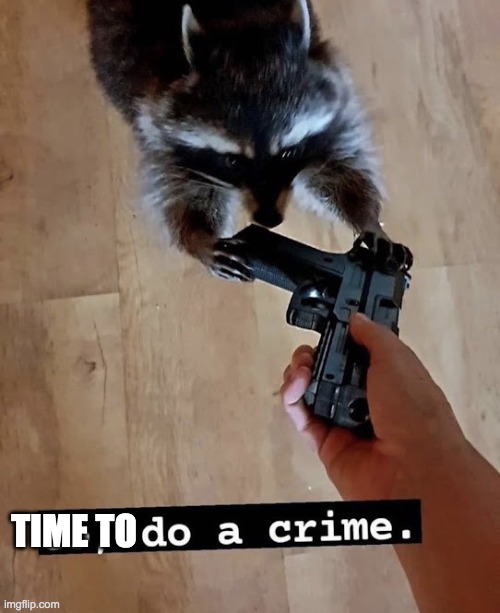 go do a crime | TIME TO | image tagged in go do a crime | made w/ Imgflip meme maker