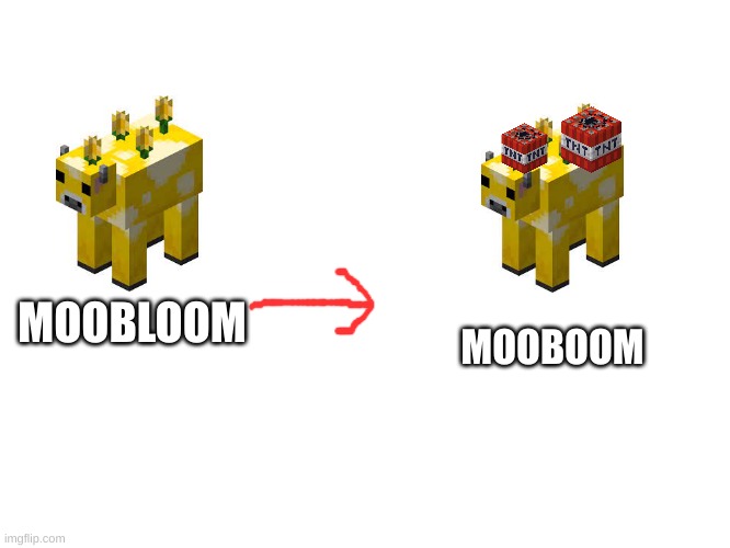 MOOBLOOM MOOBOOM | made w/ Imgflip meme maker