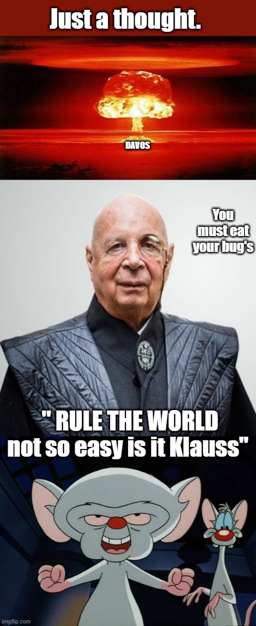 WOULD YOU MISS UM ?? | Just a thought. DAVOS; You must eat your bug's; " RULE THE WORLD not so easy is it Klauss" | image tagged in atomic bomb,klaus schwab,pinky and the brain | made w/ Imgflip meme maker