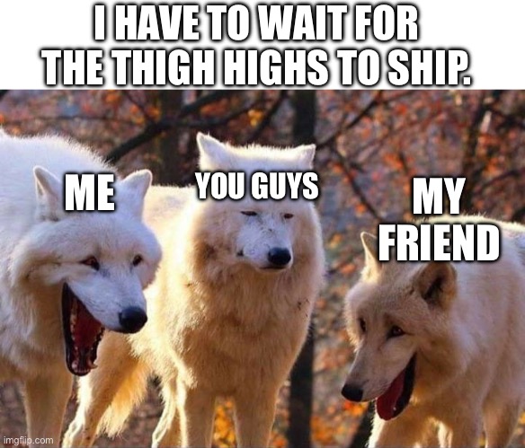 Laughing wolf | I HAVE TO WAIT FOR THE THIGH HIGHS TO SHIP. YOU GUYS; ME; MY FRIEND | image tagged in laughing wolf | made w/ Imgflip meme maker