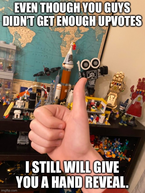 See my Lego collection? | EVEN THOUGH YOU GUYS DIDN’T GET ENOUGH UPVOTES; I STILL WILL GIVE YOU A HAND REVEAL. | image tagged in memes | made w/ Imgflip meme maker