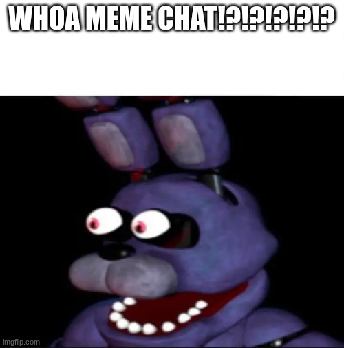WHOA MEME CHAT!?!?!?!?!? | image tagged in bonnie eye popping | made w/ Imgflip meme maker