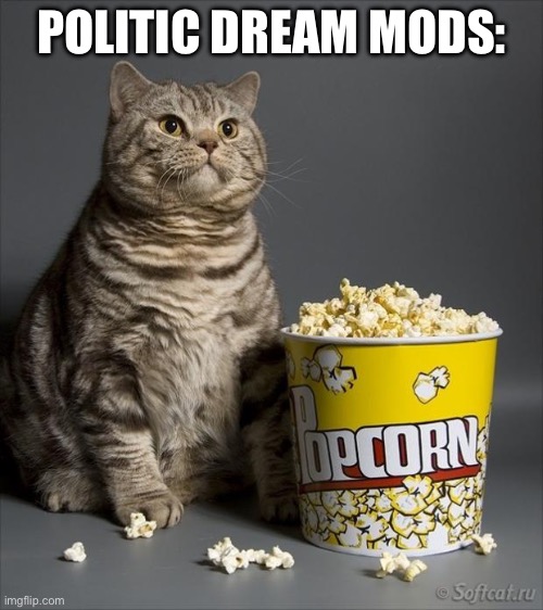 Cat eating popcorn | POLITIC DREAM MODS: | image tagged in cat eating popcorn | made w/ Imgflip meme maker