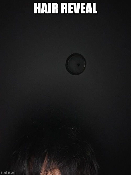 HAIR REVEAL | made w/ Imgflip meme maker