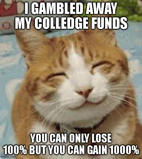 90% of gamblers quit before they win big! this is why I gambled away all my kids colledge funds | I GAMBLED AWAY MY COLLEDGE FUNDS; YOU CAN ONLY LOSE 100% BUT YOU CAN GAIN 1000% | image tagged in happy cat,memes,gifs,funny,gambling,relatable | made w/ Imgflip meme maker