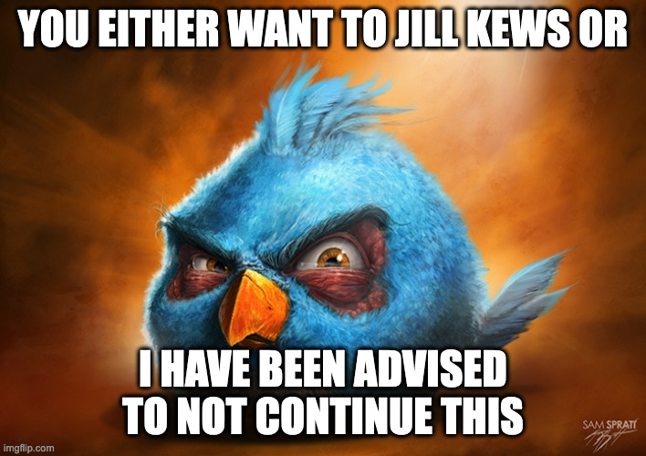 angry birds blue | YOU EITHER WANT TO JILL KEWS OR; I HAVE BEEN ADVISED TO NOT CONTINUE THIS | image tagged in angry birds blue | made w/ Imgflip meme maker