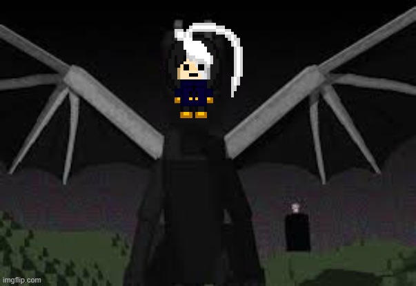 Ender dragon | image tagged in ender dragon | made w/ Imgflip meme maker