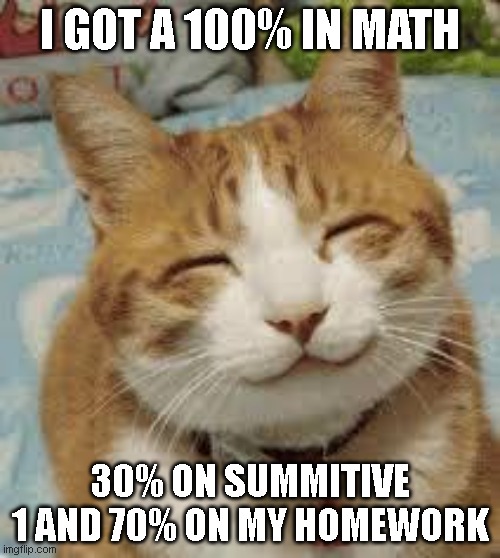 YAY MOM ARE YOU PROUD I FINALY GOT A 100% in math | I GOT A 100% IN MATH; 30% ON SUMMITIVE 1 AND 70% ON MY HOMEWORK | image tagged in happy cat,memes,funny,school,relatable,relatable memes | made w/ Imgflip meme maker