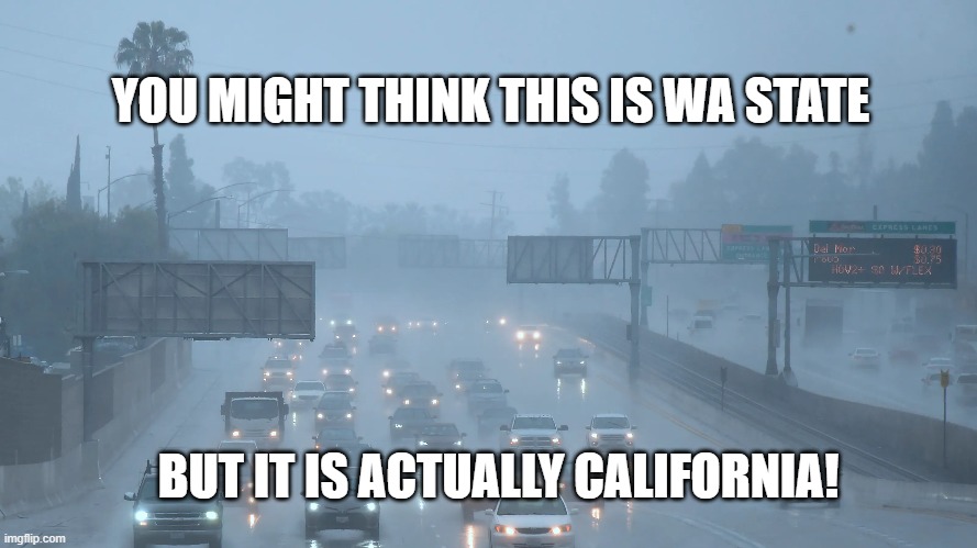 Cali rain not WA | YOU MIGHT THINK THIS IS WA STATE; BUT IT IS ACTUALLY CALIFORNIA! | image tagged in memes | made w/ Imgflip meme maker