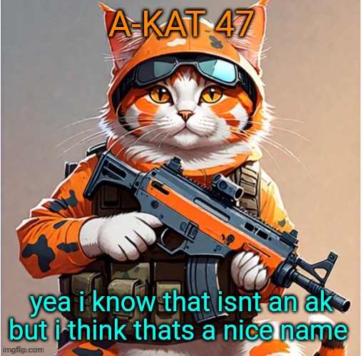 your opinion on this name chat? | A-KAT 47; yea i know that isnt an ak but i think thats a nice name | made w/ Imgflip meme maker