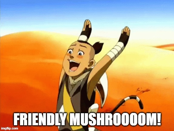 image tagged in avatar the last airbender | made w/ Imgflip meme maker