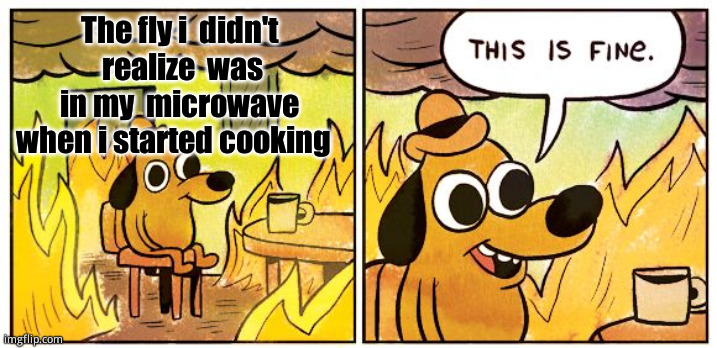 Apparently, flies are too small to get killed in microwaves.  That, or i just unleashed flyder man | The fly i  didn't  realize  was in my  microwave when i started cooking | image tagged in memes,this is fine | made w/ Imgflip meme maker