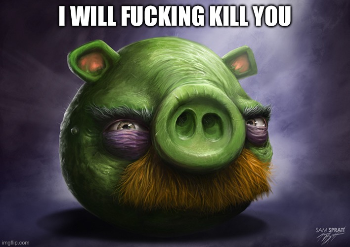 Realistic angry birds | I WILL FUCKING KILL YOU | image tagged in realistic angry birds | made w/ Imgflip meme maker