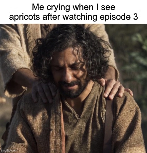 SPOILER ALERT | Me crying when I see apricots after watching episode 3 | image tagged in the chosen | made w/ Imgflip meme maker