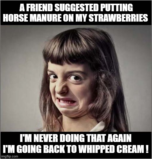 Given Bad Advice ! | A FRIEND SUGGESTED PUTTING HORSE MANURE ON MY STRAWBERRIES; I'M NEVER DOING THAT AGAIN
I'M GOING BACK TO WHIPPED CREAM ! | image tagged in bad advice,horse manure,strawberries,whipped cream,dark humour | made w/ Imgflip meme maker